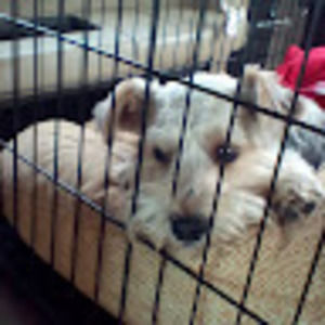 Meet your Posher, Bethany